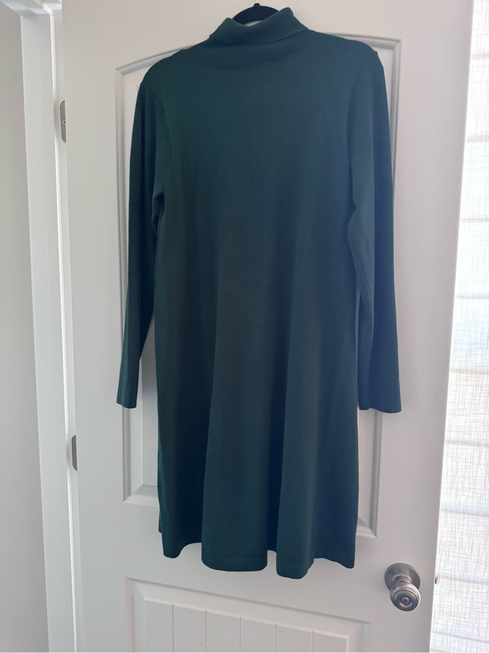 AGB Dark Green Long Sleeve Sweater Turtleneck Dress